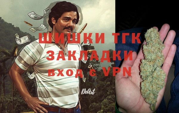 шишки Алексин