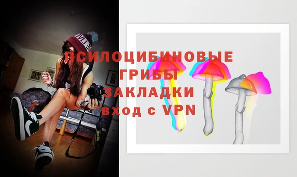 шишки Алексин