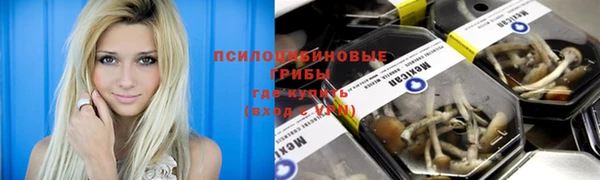 шишки Алексин
