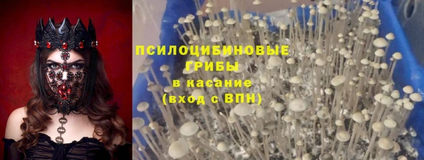 PSILOCYBIN Алзамай